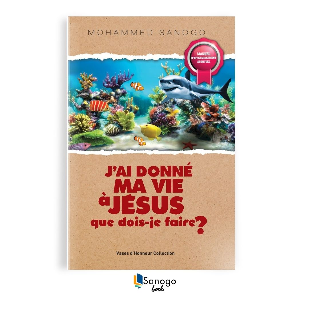 J'AI DONNÉ MA VIE À JÉSUS- QUE DOIS-JE FAIRE ? - MOHAMMED SANOGO